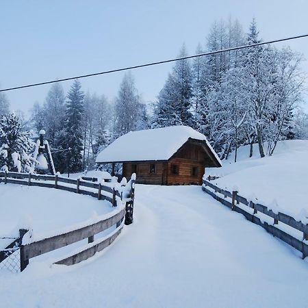 Ferienhaus Gobald Murau Bagian luar foto