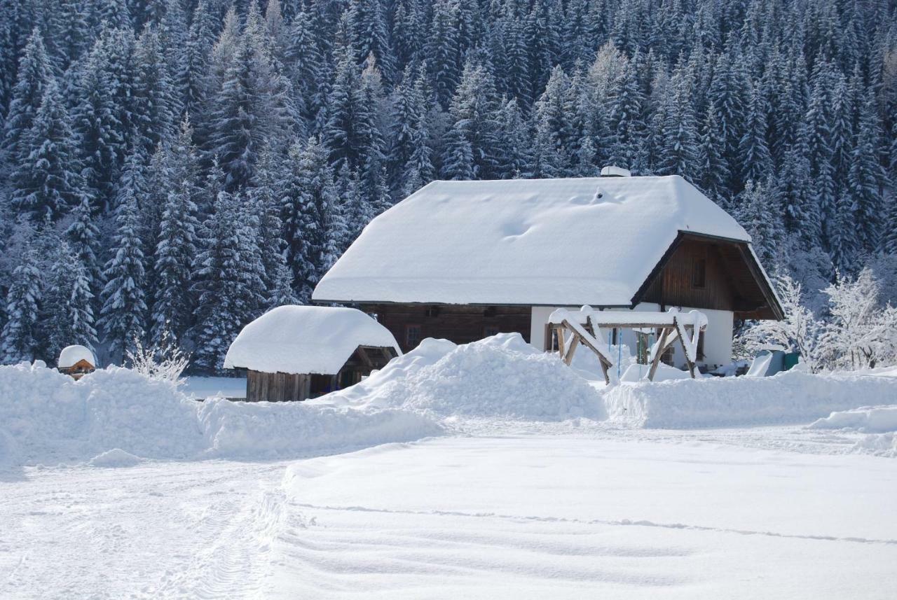 Ferienhaus Gobald Murau Bagian luar foto